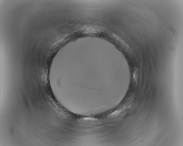 X0000110991348200907171743