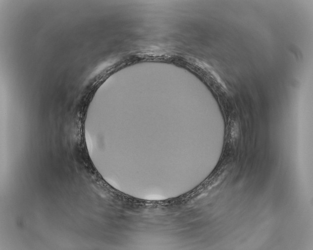 X0000110991350200907171743