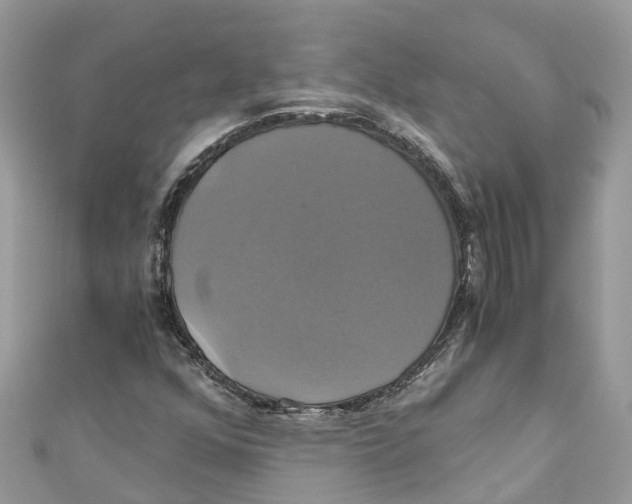 X0000110991352200907171743