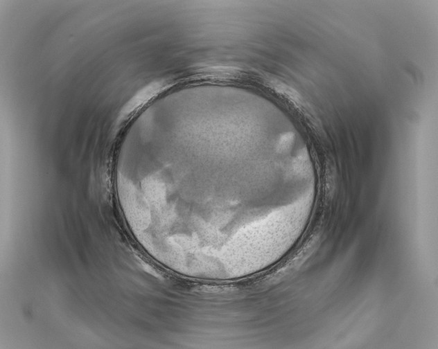 X0000110991354200907171743