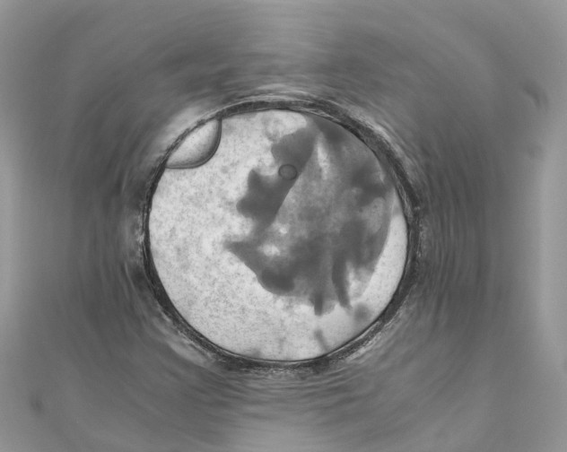 X0000110991355200907171743