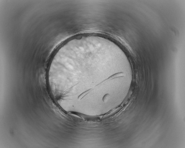 X0000110991356200907171743