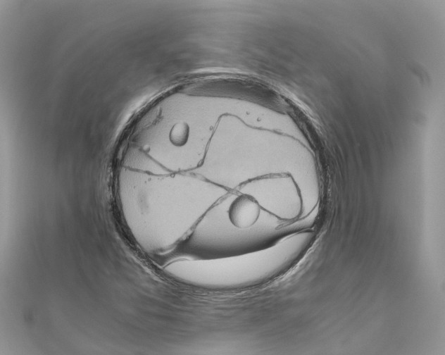 X0000110991357200907171743