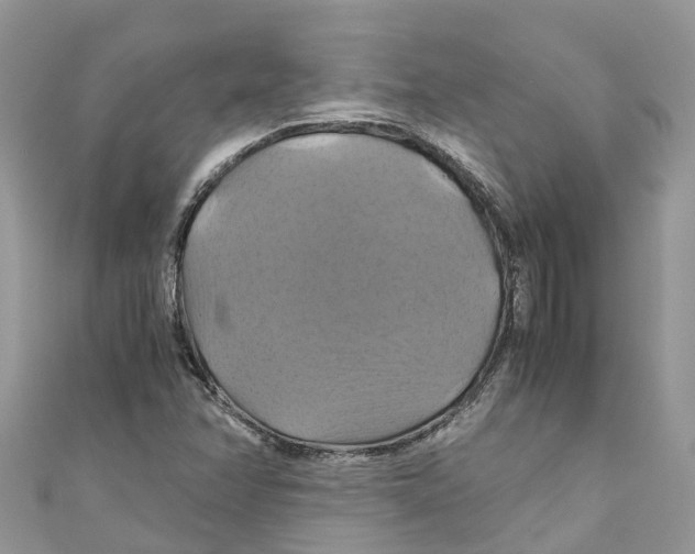 X0000110991358200907171743