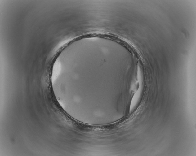 X0000110991359200907171743