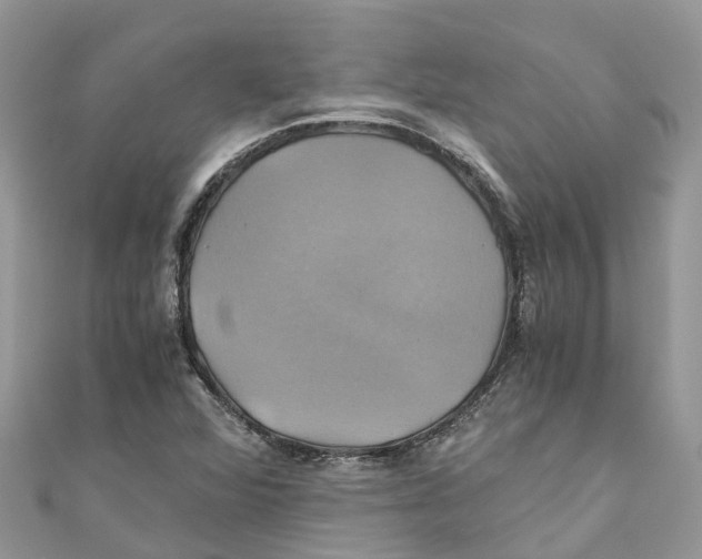 X0000110991360200907171743