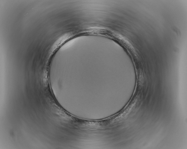 X0000110991362200907171743