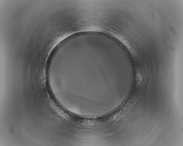 X0000110991364200907171743