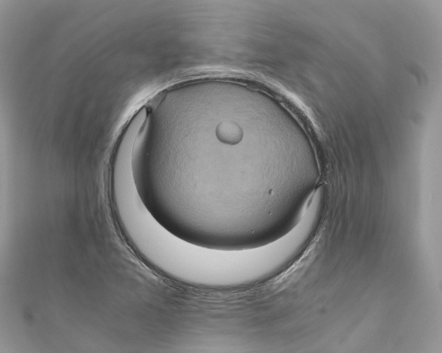 X0000110991365200907171743