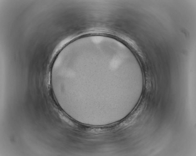 X0000110991366200907171743