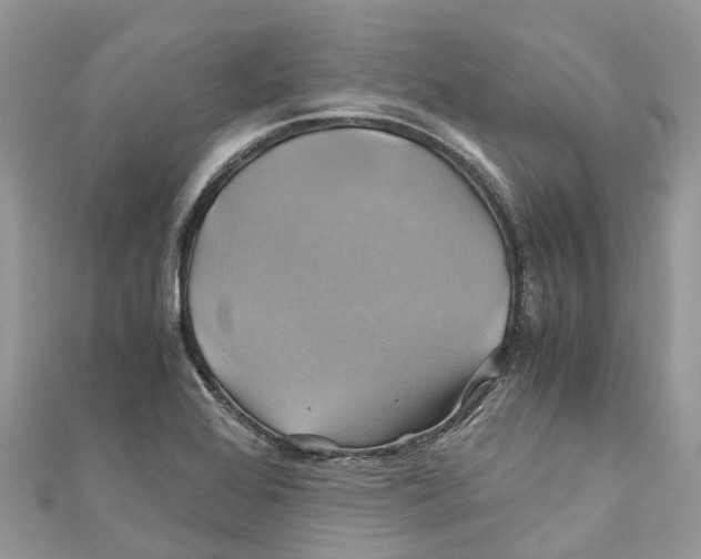 X0000110991368200907171743