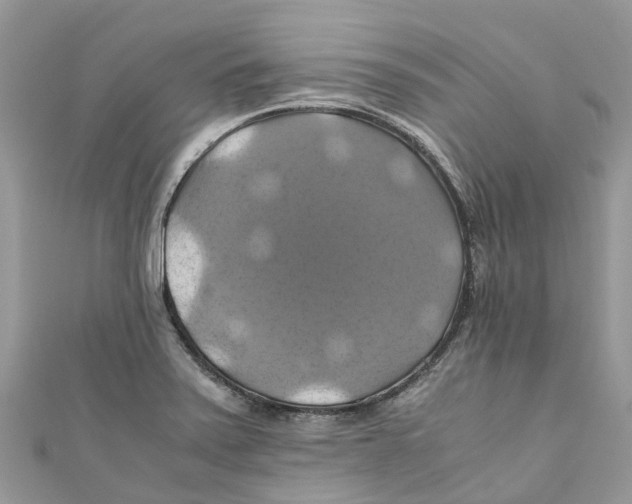 X0000110991371200907171743