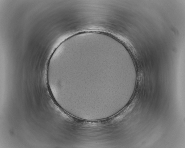 X0000110991374200907171743