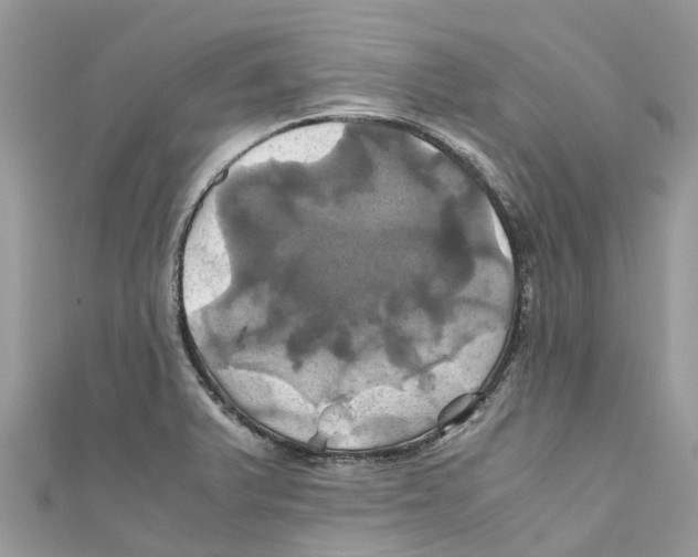 X0000110991375200907171743