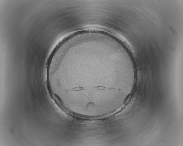 X0000110991376200907171743