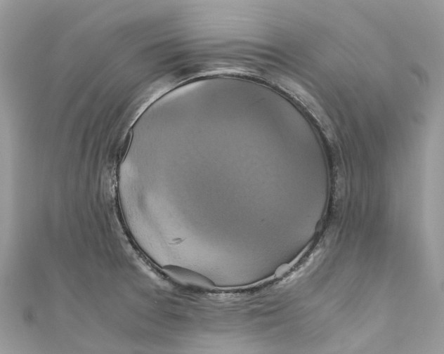 X0000110991377200907171743