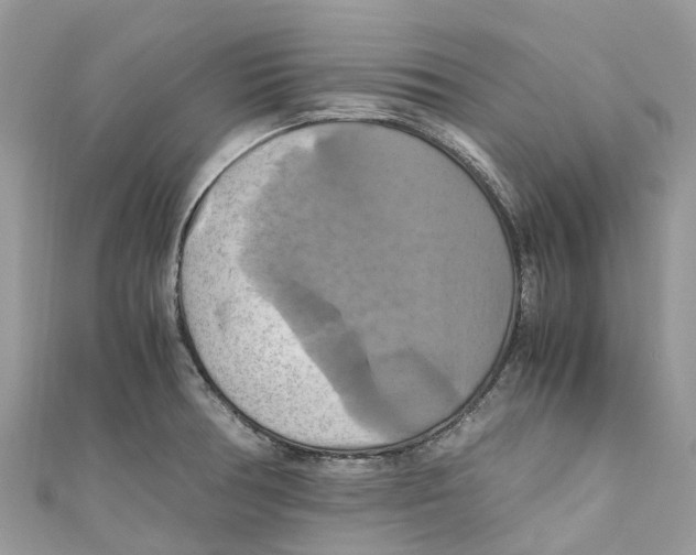 X0000110991378200907171743