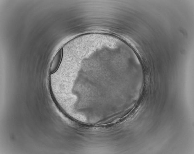 X0000110991379200907171743