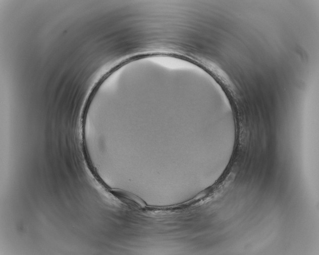 X0000110991380200907171743