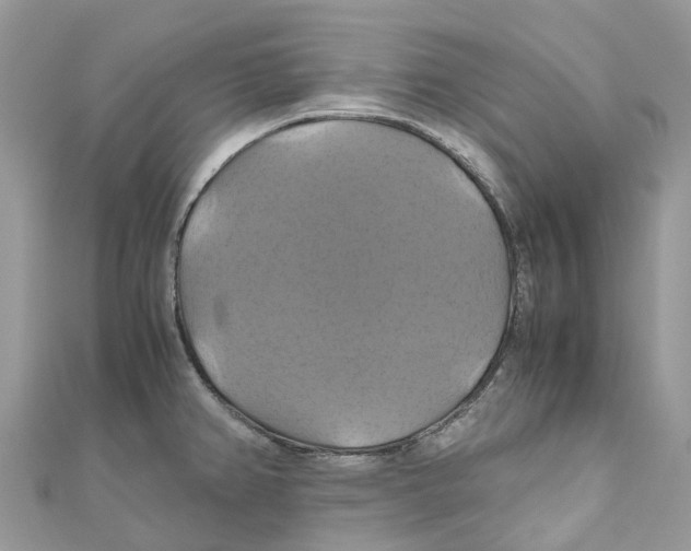 X0000110991382200907171743