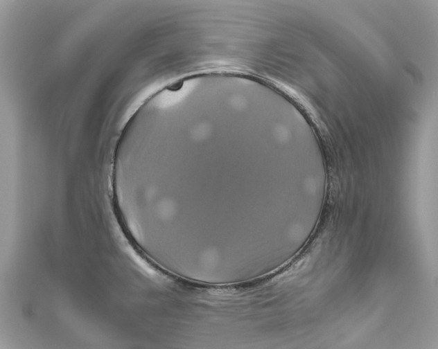 X0000110991383200907171743