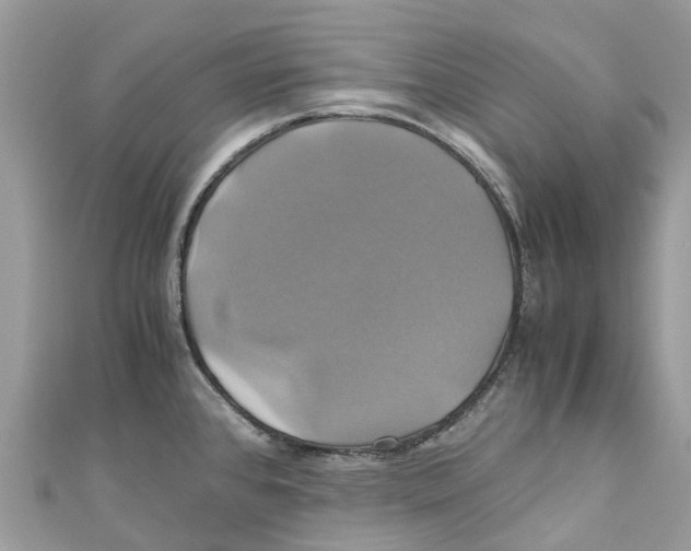 X0000110991384200907171743