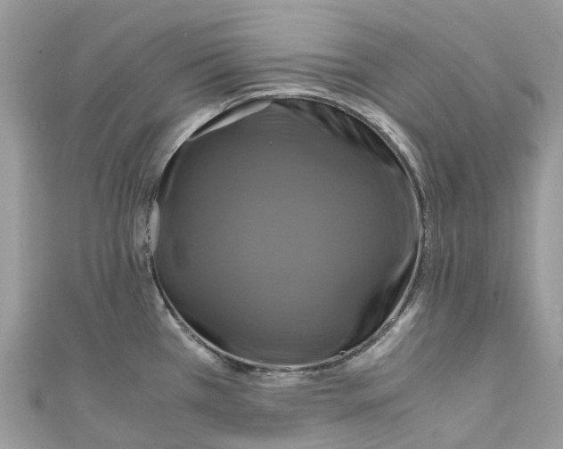 X0000110991385200907171743