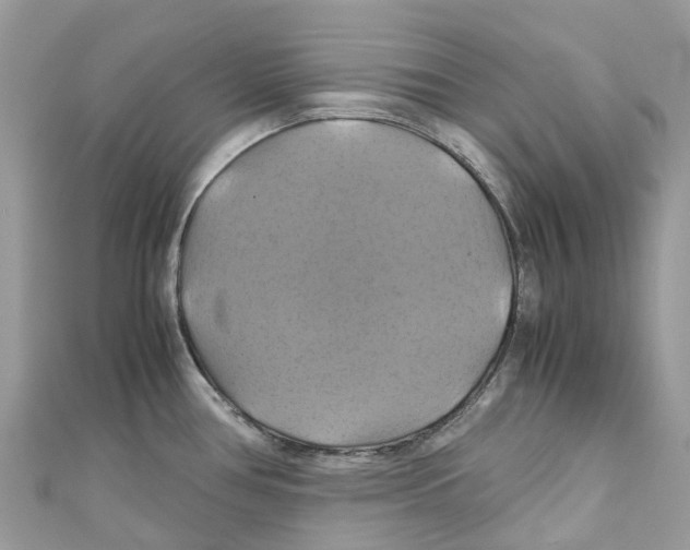 X0000110991386200907171743