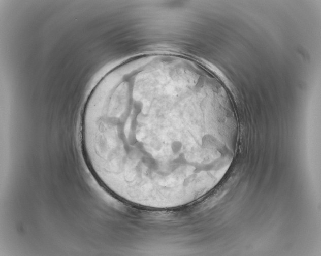 X0000110991387200907171743