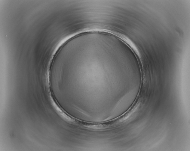 X0000110991388200907171743