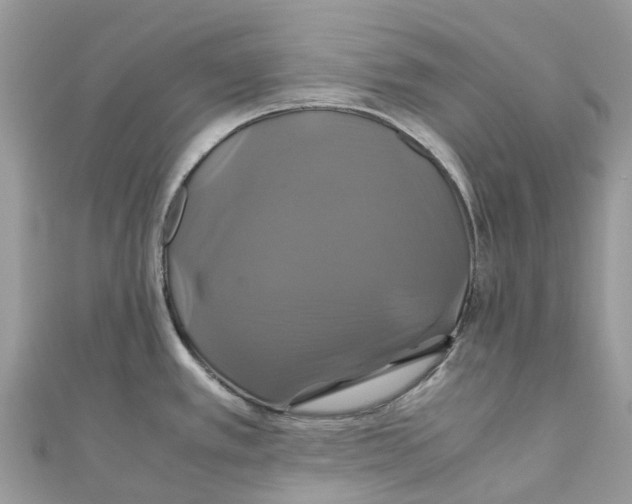 X0000110991389200907171743