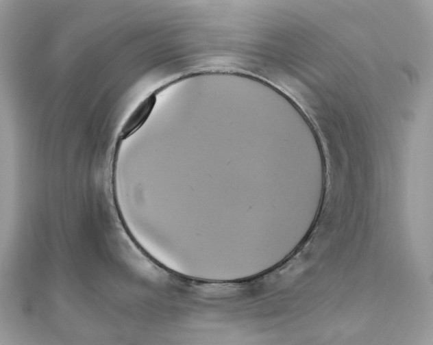 X0000110991392200907171743