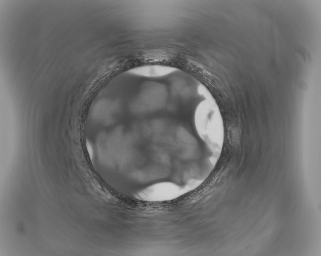 X0000110991393200907171742
