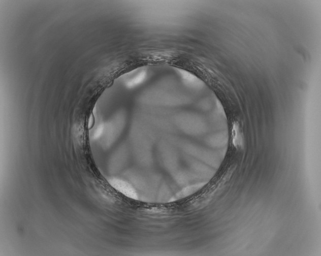 X0000110991395200907171742