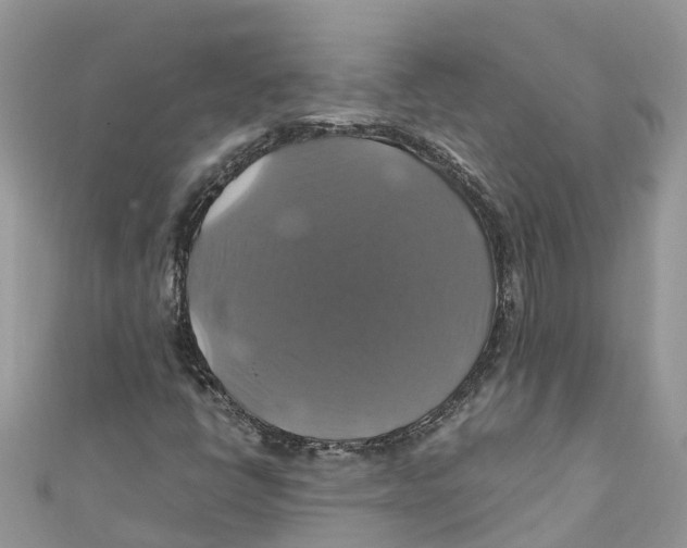 X0000110991398200907171742