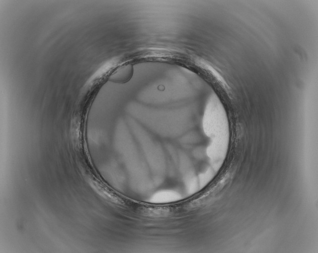 X0000110991403200907171742