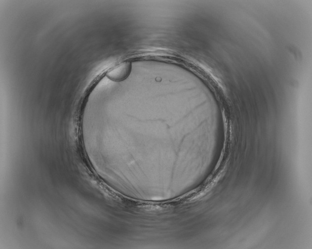 X0000110991405200907171742