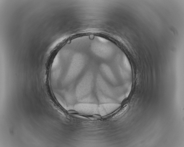 X0000110991406200907171742