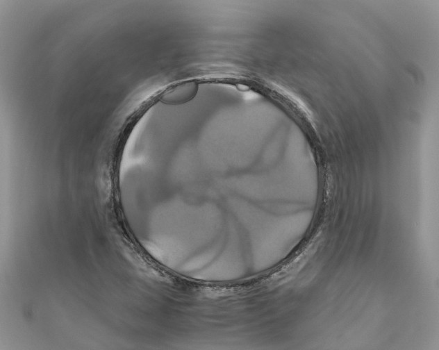 X0000110991407200907171742