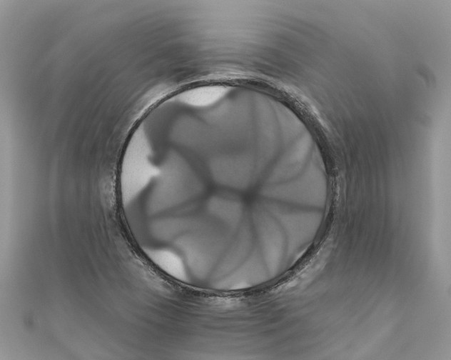 X0000110991409200907171742