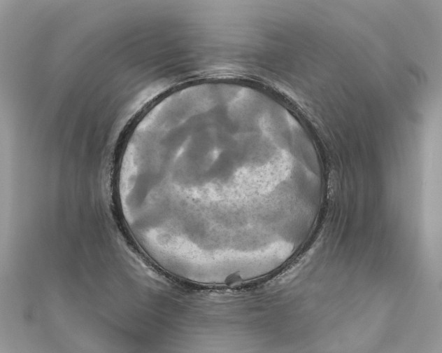 X0000110991410200907171742