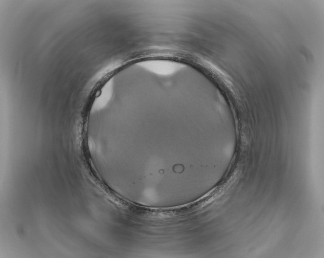 X0000110991411200907171742