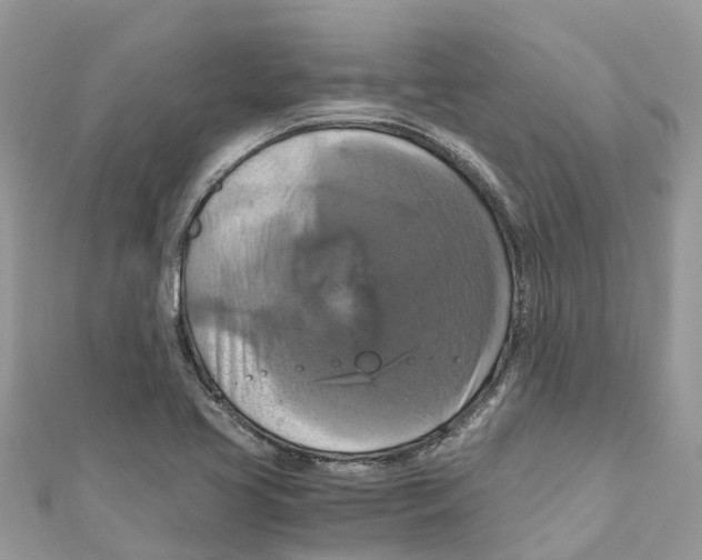 X0000110991413200907171742