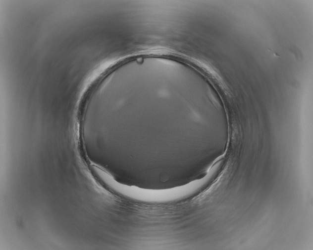 X0000110991414200907171742