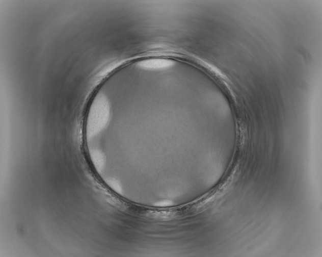 X0000110991415200907171742