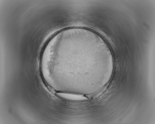 X0000110991416200907171742