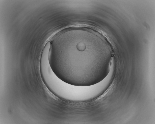 X0000110991417200907171742