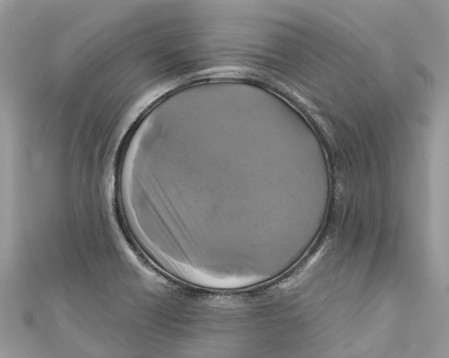 X0000110991418200907171742