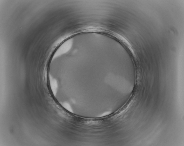 X0000110991419200907171742