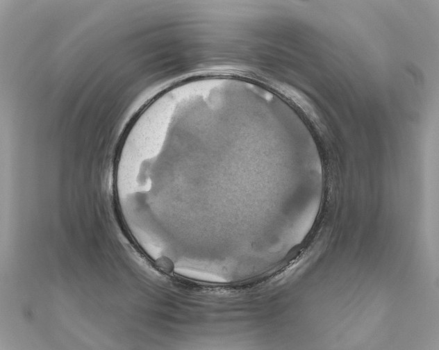 X0000110991420200907171742